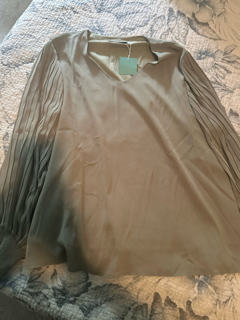 Avirex Pleated Long-Sleeve V-Neck Blouse in Light Sage
